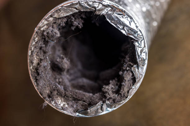 Best Ductwork Cleaning Services  in Riverton, IL
